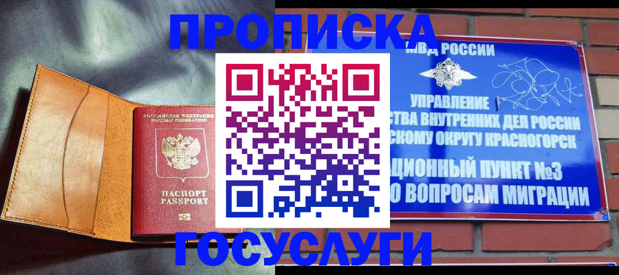 временная регистрация поиск в Долгопрудном